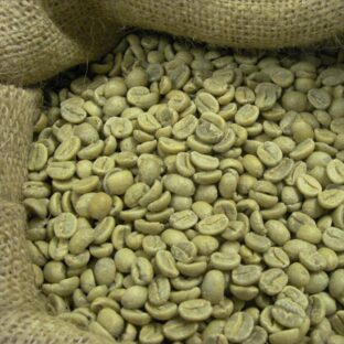 robusta green coffee