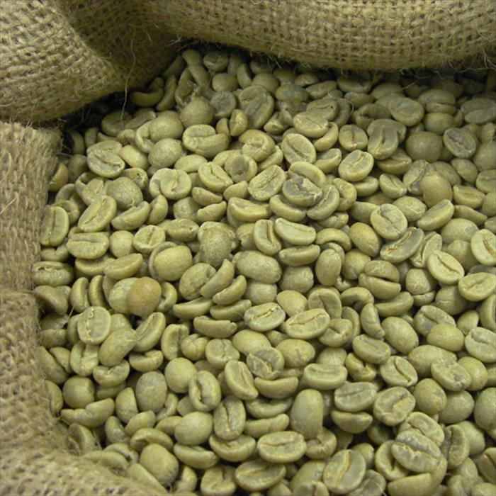 robusta green coffee